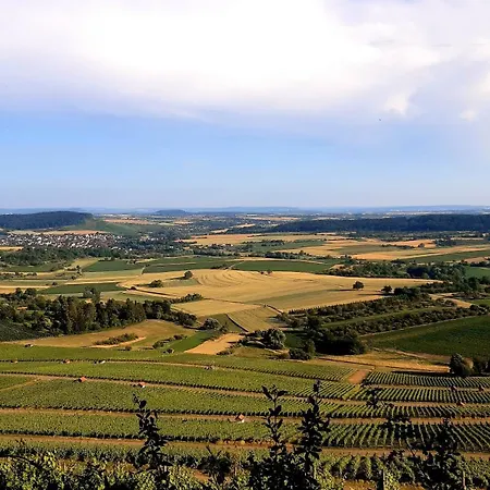 Bottwartal Mit Eigenem Eingang, Ruhige Lage, Gemuetliches Haeusle Fuer Sich Alleine Apartament *